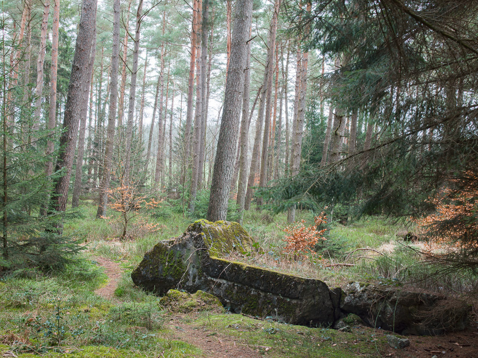 Bunkertrümmer-Westwall